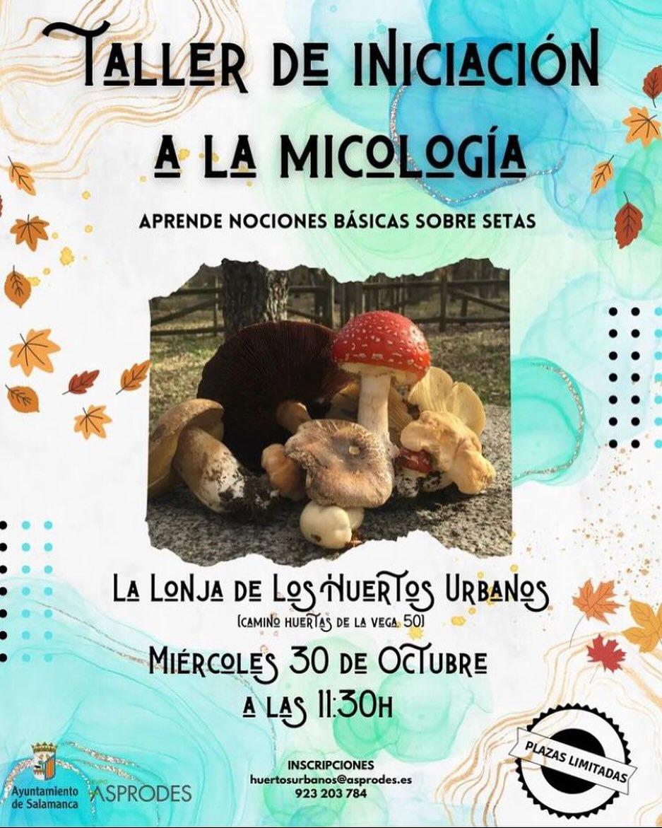 Cartel anunciador del taller de micología