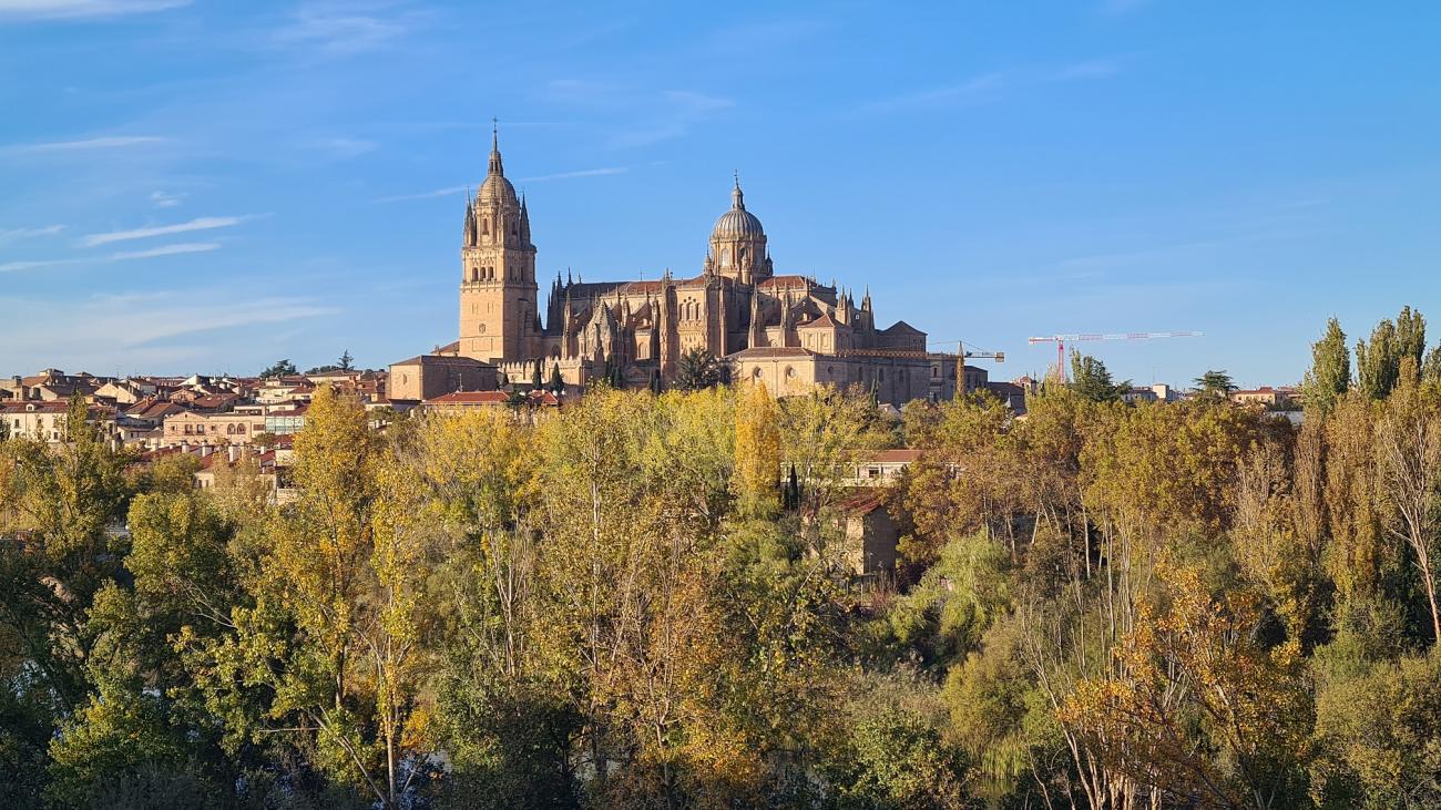 Vista de las catedrales y la ribera del río desde la atalaya del barrio El Tormes