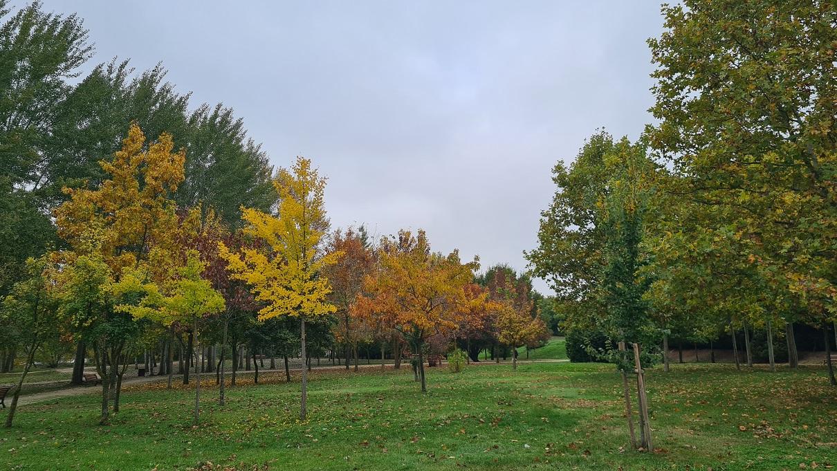 Parque Botánico de Huerta Otea