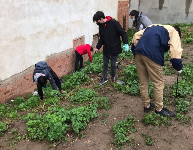 Voluntarios