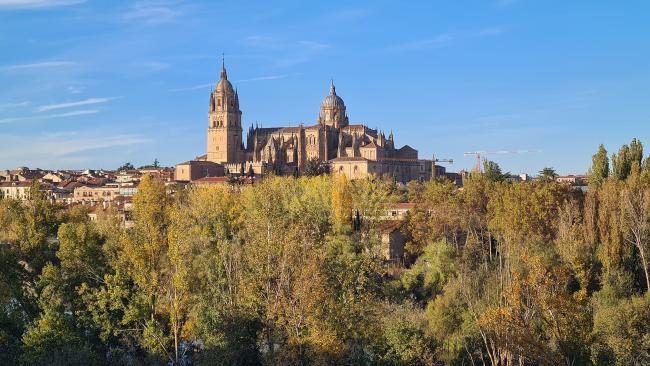 Vista de las catedrales y la ribera del río desde la atalaya del barrio El Tormes